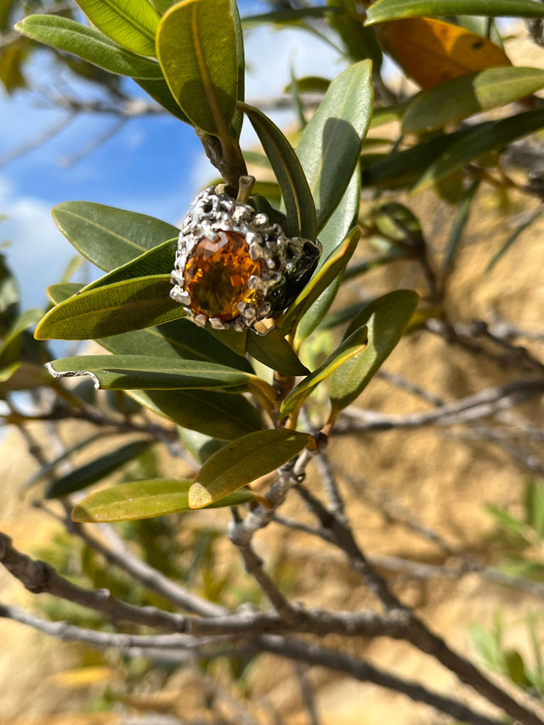 cadmanrock Ring Coral Ring in Citrine Gemstone